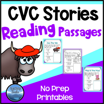 Preview of 2 CVC Words Worksheets: Decodable CVC Reading Comprehension Passages