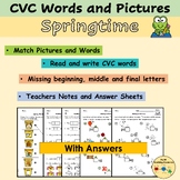 CVC Words Pictures and Sentences Phonics Worksheets Spring