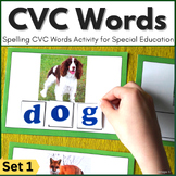 CVC Words with Pictures | Spelling Words Activity | CVC Fl