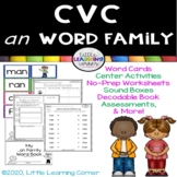 CVC an Word Family Worksheets  ~ Short a word families