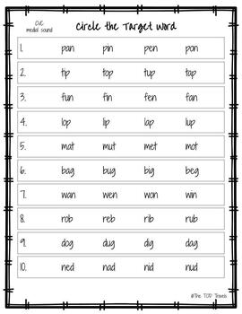 CVC and CCVC Reading Assessment by The TOD Travels | TpT