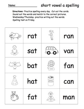 CVC and Long Vowel Spelling Sorts by You Can Call Me Jess | TpT