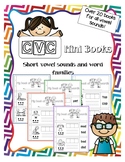 CVC mini books for short vowel sounds and word families