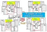 CVC short vowel word family worksheets