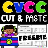 CVCC Activities Freebie