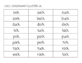 CVCC Consonant Cluster ck Phonics BINGO Cards