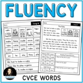 CVCE Fluency with Comprehension Long Vowels Phonics