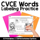 CVCE Labeling Practice Pages | Phonics