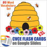CVCE Silent e Word Flash Cards Digital ESL ELL Newcomer