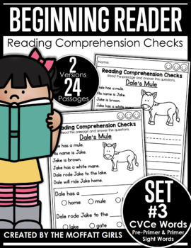 Preview of CVCe Beginning Reading Comprehension Checks Phonics Based Set 3 (GOOGLE READY)