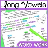 CVCe Long Vowel & Vowel Team Phonics Word Work Worksheets 