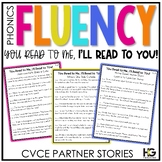 CVCe Silent E Partner Reading Passages | Decodable Fluency