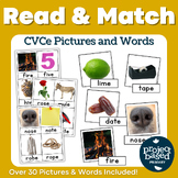 CVCe Word and Picture Decode and Match