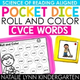CVCe Words Literacy Centers Pocket Dice Roll and Color Pho