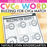 CVCe Worksheets | Buzzing for CVCe Words