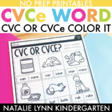 CVCe Worksheets | CVC or CVCe Worksheets