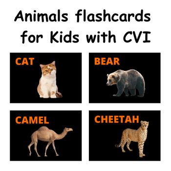 Preview of CVI; Animals flashcards for CVI :High contrast & bright colors(Orange)