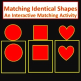 CVI Match Identical Shapes Book 2- CVI, LowVision, Multipl