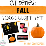 CVI Series Fall Vocabulary Set | Photographs