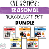 CVI Series Seasonal Vocabulary Set Bundle | Photographs