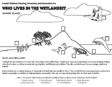 CWPPRA Who Lives in the Wetlands? Barrier Island Coloring Sheet