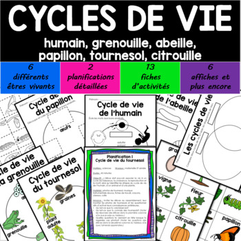 Preview of CYCLES DE VIE- humain grenouille papillon abeille tournesol citrouille *NO PREP