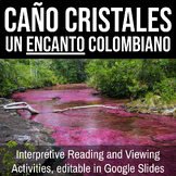 Caño Cristales: un encanto colombiano