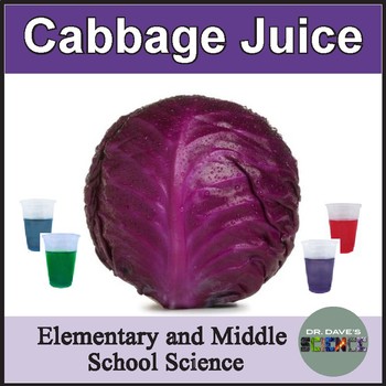 Preview of Cabbage Juice Acids and Bases Activity