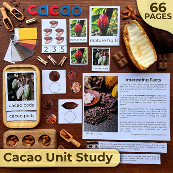 Preview of Cacao Unit Study | Chocolate Unit Study | Cacao Activity Bundle