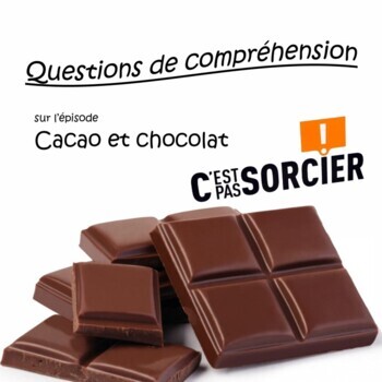 Preview of Cacao et chocolat - compréhension