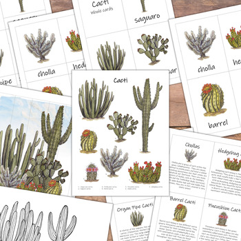 Preview of Cacti Mini Study: types of cacti, plant ID cards, classroom poster