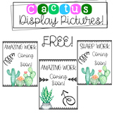 Cactus Display Pictures
