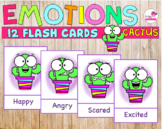 Emotions Flash Cards