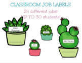 Cactus & Succulent Classroom Jobs EDITABLE & PRINTABLE 