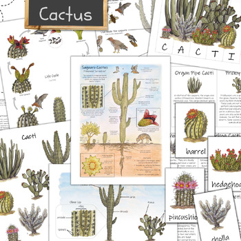 Preview of Cactus Unit: huge set with cacti types, life cycle, anatomy, saguaro, and more!