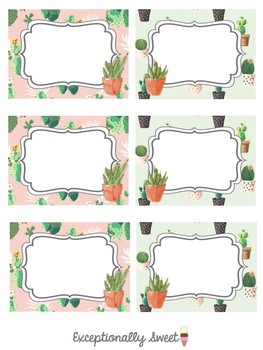 Preview of Cactus or Succulent Classroom Theme Labels