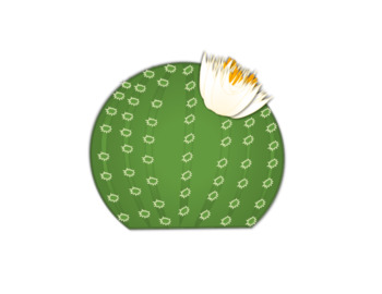 Preview of Cactus with Flower Clip-art FREEBIE