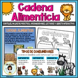 Cadena Alimenticia (Cadena Alimentaria) - Spanish Food Chain