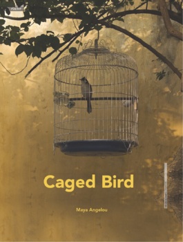 Preview of Caged Bird - Some Advice to Those Who Will Serve Time in Prison - Grade 10