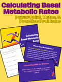 Calculating Basal Metabolic Rates - PowerPoint, Notes, and