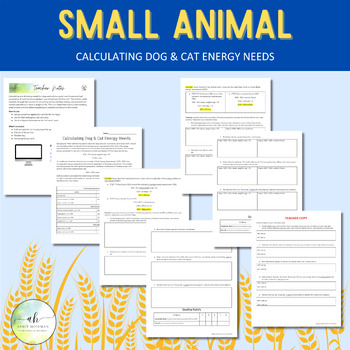 Preview of Calculating Dog & Cat Energy Needs