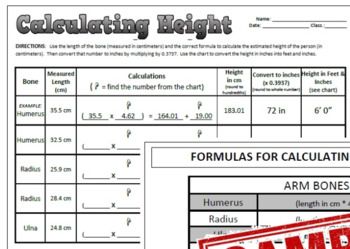 Preview of Calculating Height Forensic Anthropology Worksheet or Lab