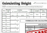 Calculating Height Forensic Anthropology Worksheet or Lab