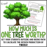 Calculating the Oxygen Production Carbon Dioxide Trees Dis