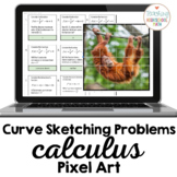 Calculus Curve Sketching Problems Pixel Art