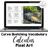 Calculus Curve Sketching Vocabulary Google Sheets Pixel Art