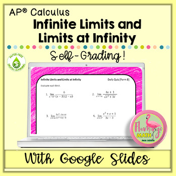 Preview of Calculus Infinite Limits Google Quiz