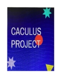 Calculus Poster Project