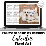 Calculus Volume of Solids of Revolution Pixel Art