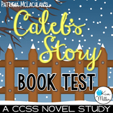 Caleb's Story Reading Comprehension Book Test